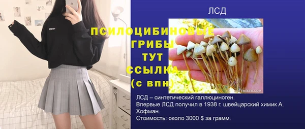 гашик Балахна