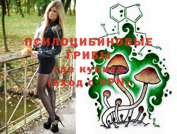 гашик Балахна