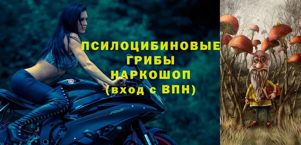 гашик Балахна