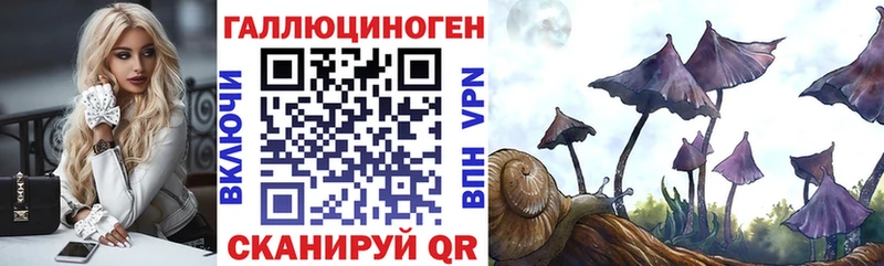 как найти наркотики  Бахчисарай  гидра ONION  Галлюциногенные грибы Psilocybe 